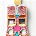 Stylish Accessories icon - a chic pet collar