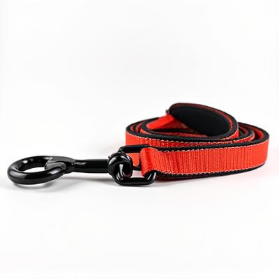 Heavy-Duty Adventure Pet Leash