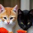 Two cats excitedly pouncing on catnip fish toys